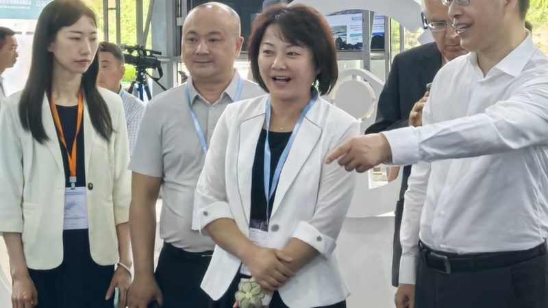 减震器，如何选？价格与品质的平衡之道**